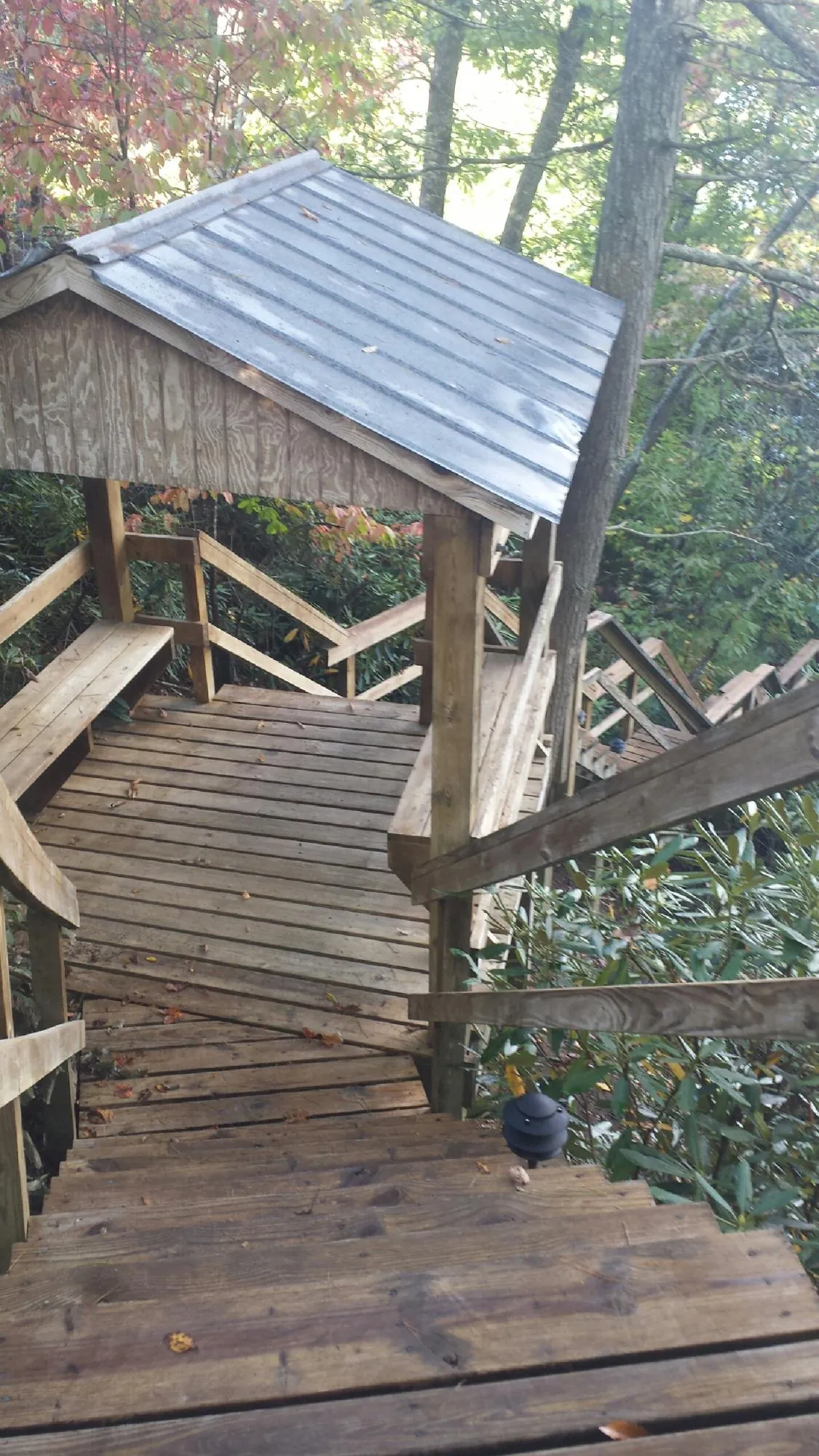 Metal roofed shelter over wooden steps on a wooded walkway — Skylight Repair & Installation work by our crew in Parksville